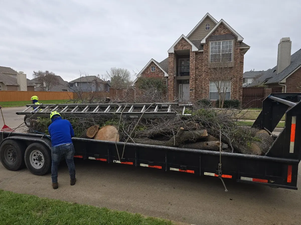 Expert Lot Clearing with proper safety equipment in Knightsen